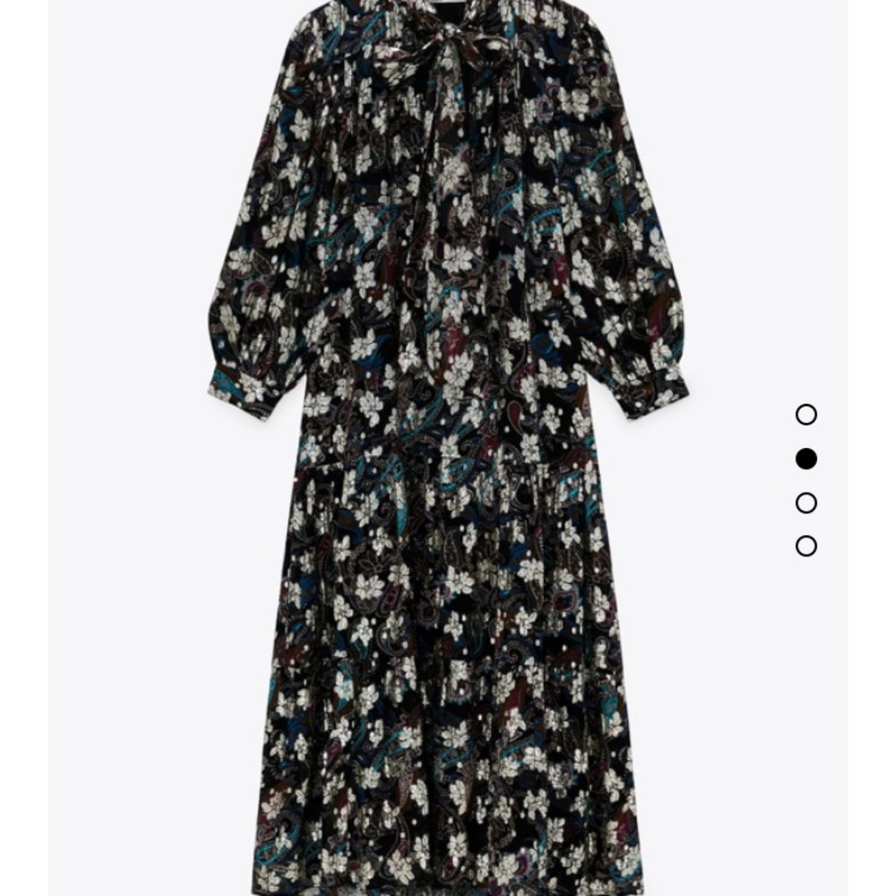 Zara limited edition maxi dress
